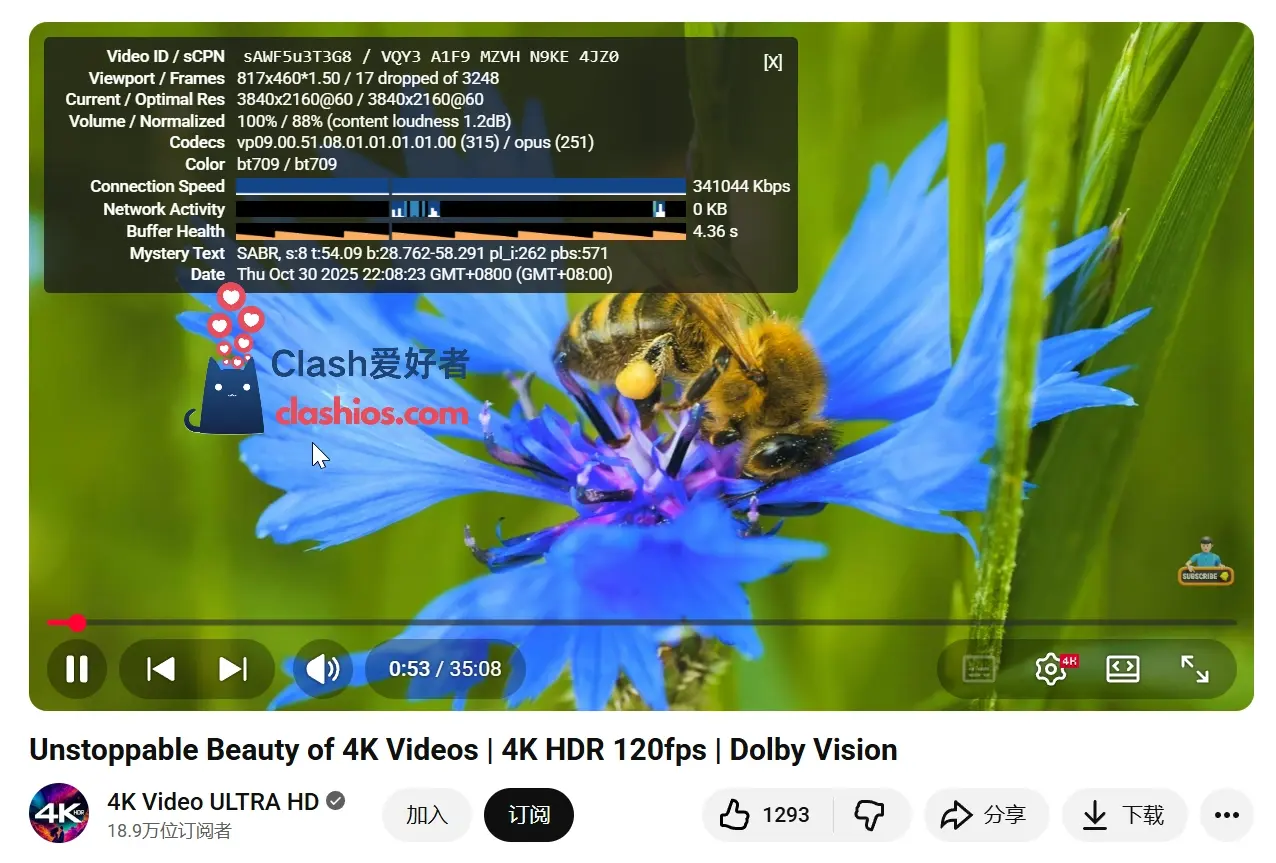 SkyLinX 机场 YouTube 4K 播放测试 Clash爱好者